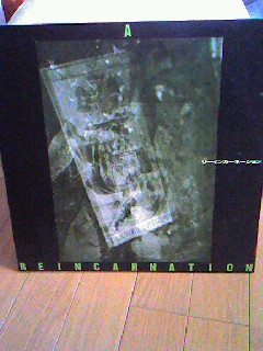 081012_1217~0001.jpg
